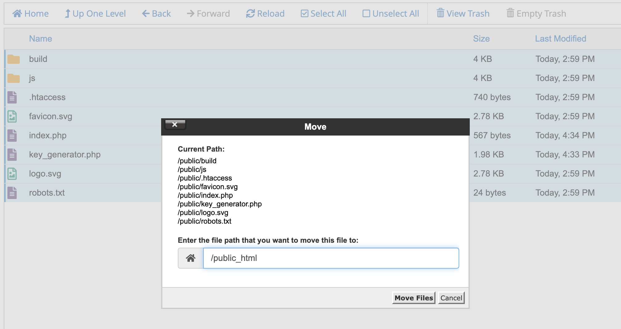 Move Public Files