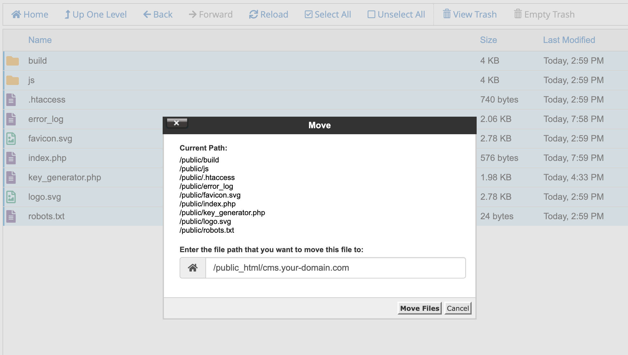 Move Public Files